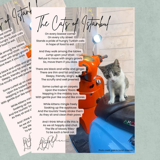 Photo of a cat sitting on a vespa scooter with a poem titled 'The Cats of Istanbul' displayed.