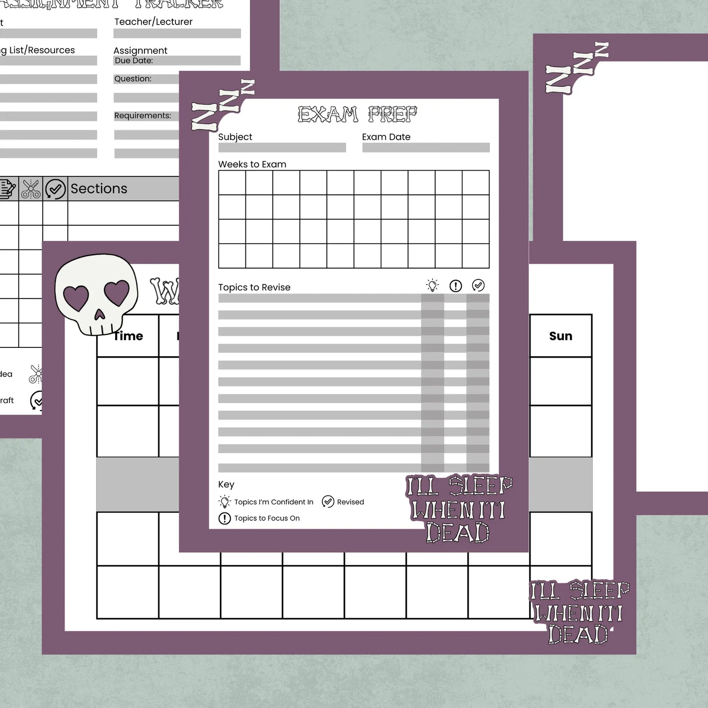 I'll Sleep When I'm Dead Study Aids